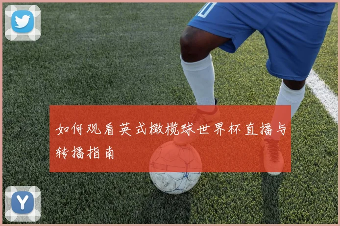 如何观看英式橄榄球世界杯直播与转播指南