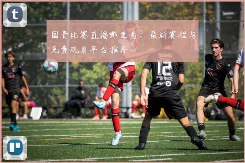 国青比赛直播哪里看？最新赛程与免费观看平台推荐